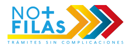 logo_no_mas_filas